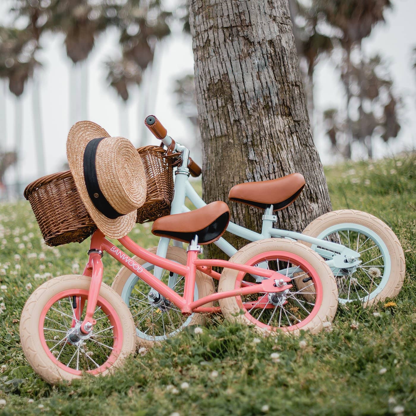 Banwood First Go Balance Bike Sky